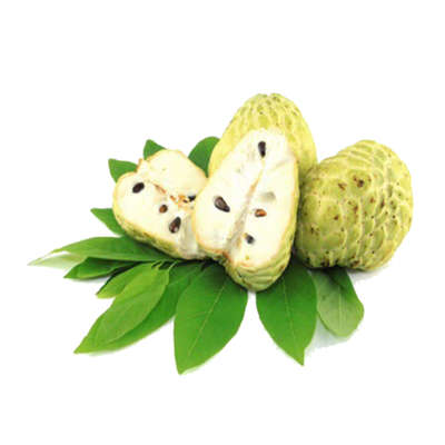 Premium Vietnamese Custard Apple