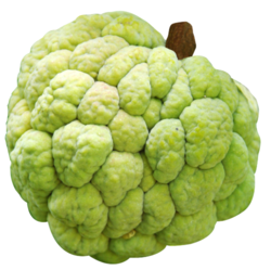 Whole Custard Apple