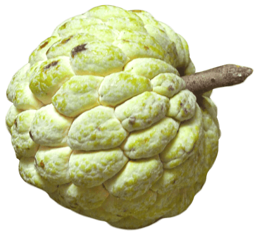 Cut Custard Apple