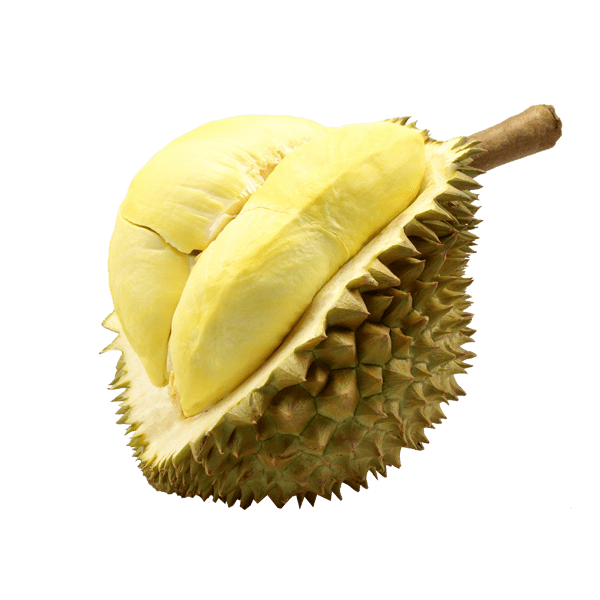 Durian opened