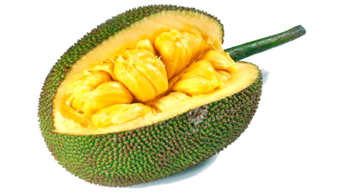Whole Jackfruit