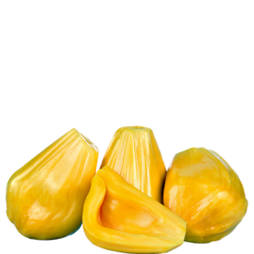 Raw Jackfruit