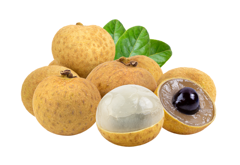 Longan