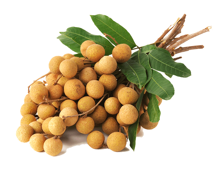 Premium Vietnamese Longan