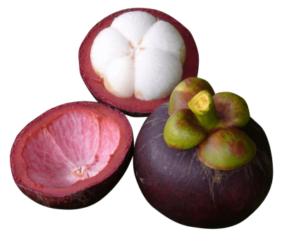 Mangosteen Segments
