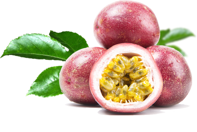 Passion Fruit Vine