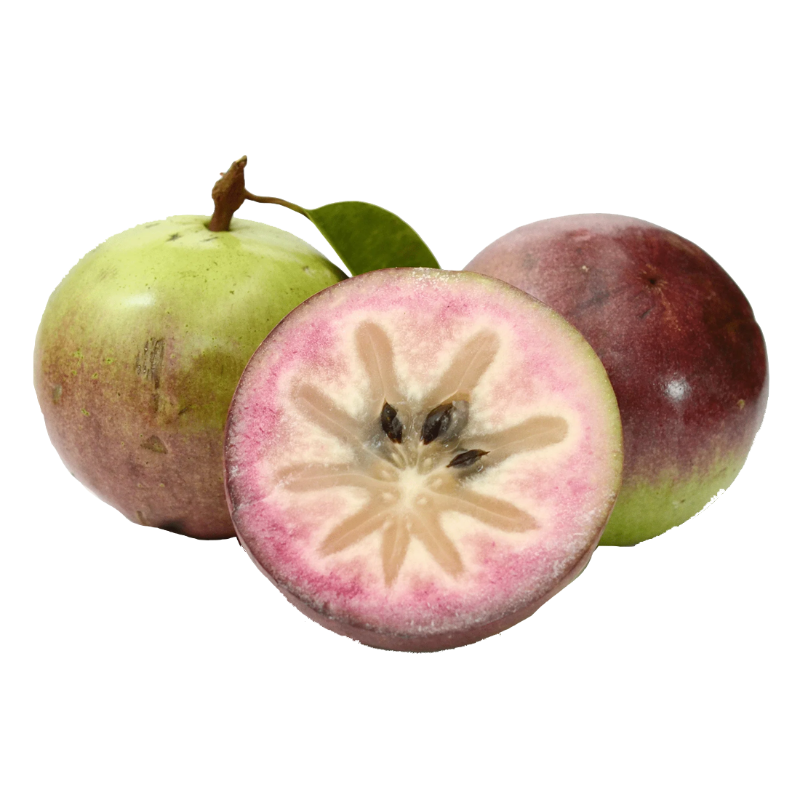 Premium Vietnamese Star Apple